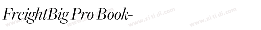 FreightBig Pro Book字体转换